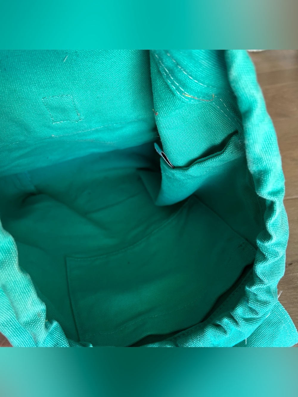 Teal Blue Baggu Canvas Backpack - Picture 4 of 8